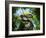 Zuniceratops Dinosaur, Artwork-Walter Myers-Framed Photographic Print