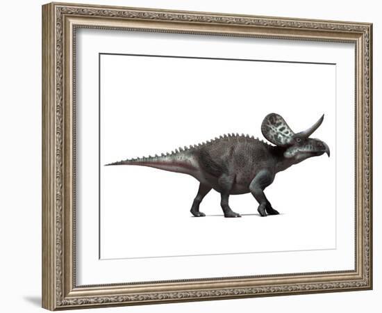 Zuniceratops Dinosaur, Artwork-SCIEPRO-Framed Photographic Print