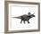 Zuniceratops Dinosaur, Artwork-SCIEPRO-Framed Photographic Print