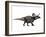 Zuniceratops Dinosaur, Artwork-SCIEPRO-Framed Photographic Print