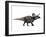 Zuniceratops Dinosaur, Artwork-SCIEPRO-Framed Photographic Print