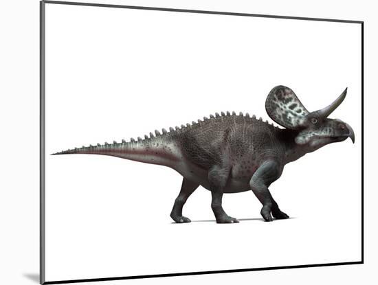 Zuniceratops Dinosaur, Artwork-SCIEPRO-Mounted Photographic Print