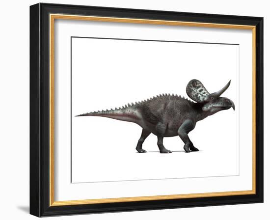 Zuniceratops Dinosaur, Artwork-SCIEPRO-Framed Photographic Print