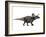 Zuniceratops Dinosaur, Artwork-SCIEPRO-Framed Photographic Print