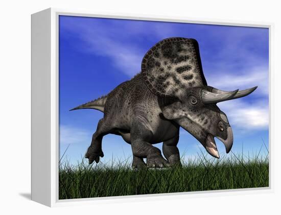 Zuniceratops Dinosaur Running in the Grass-null-Framed Stretched Canvas