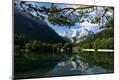 Photographic Print
