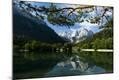 Photographic Print