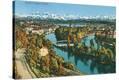 Stretched Canvas Print