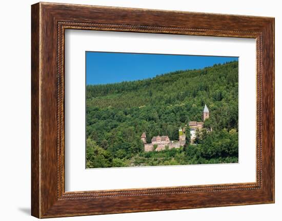 Zwingenberg Castle, Neckartal Valley, Odenwald, Burgenstrasse, Baden-Wurttemberg, Germany, Europe-Markus Lange-Framed Photographic Print