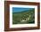 Zwingenberg Castle, Neckartal Valley, Odenwald, Burgenstrasse, Baden-Wurttemberg, Germany, Europe-Markus Lange-Framed Photographic Print