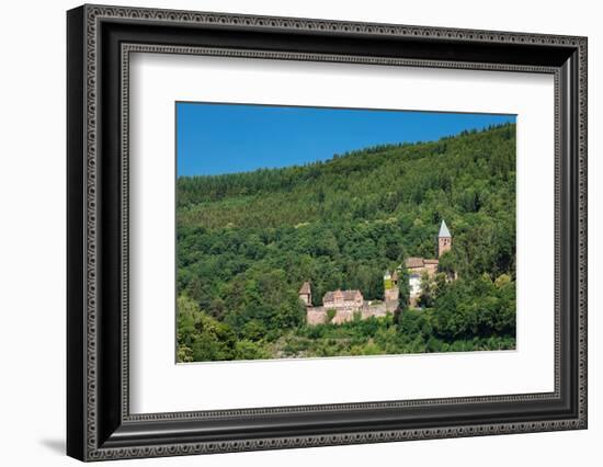 Zwingenberg Castle, Neckartal Valley, Odenwald, Burgenstrasse, Baden-Wurttemberg, Germany, Europe-Markus Lange-Framed Photographic Print