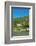 Zwingenberg Castle, Neckartal Valley, Odenwald, Burgenstrasse, Baden-Wurttemberg, Germany, Europe-Markus Lange-Framed Photographic Print