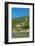 Zwingenberg Castle, Neckartal Valley, Odenwald, Burgenstrasse, Baden-Wurttemberg, Germany, Europe-Markus Lange-Framed Photographic Print