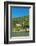 Zwingenberg Castle, Neckartal Valley, Odenwald, Burgenstrasse, Baden-Wurttemberg, Germany, Europe-Markus Lange-Framed Photographic Print